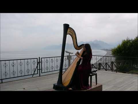 Music Concert at Konyaaltı Beach